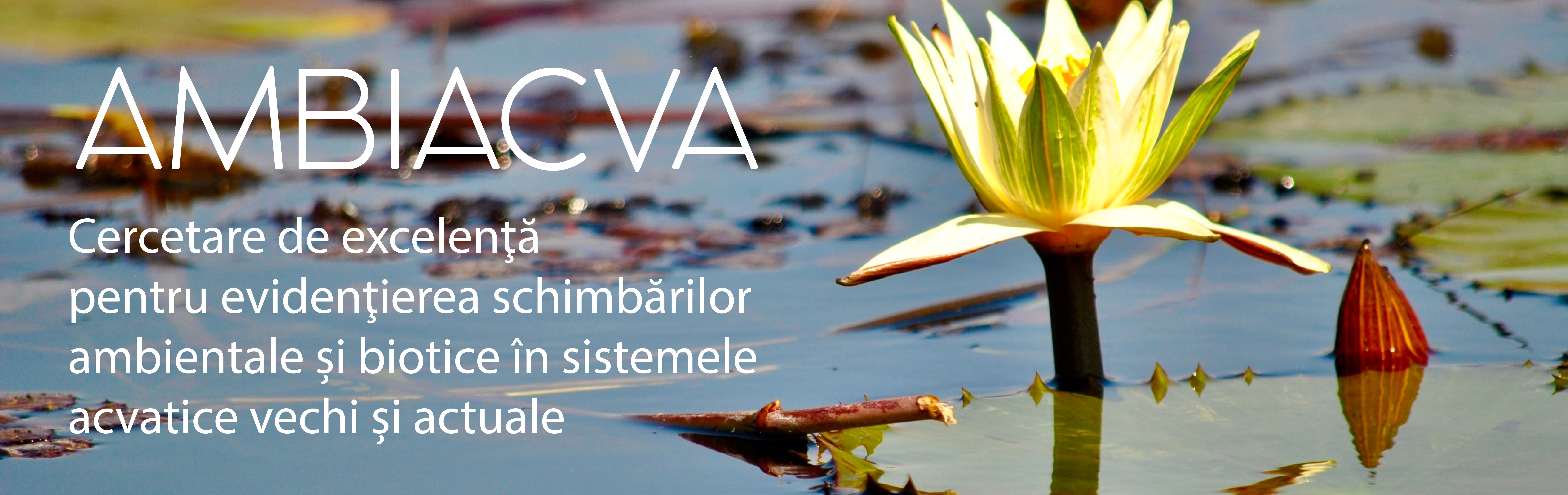 Ambiacva-RI
